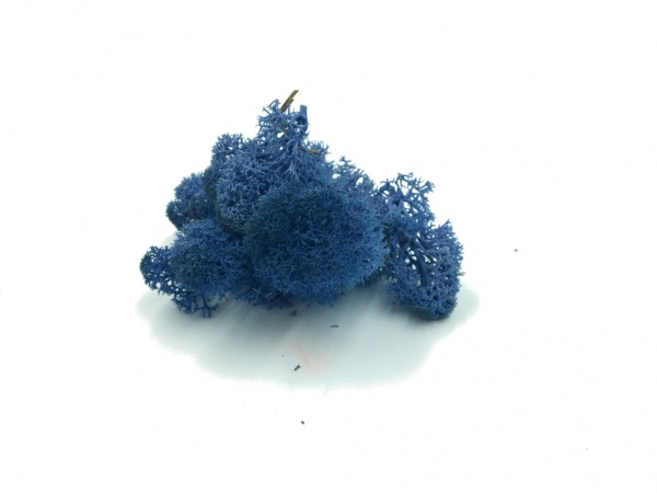 Purified Reindeer Moss Dark Blue 2,5 kg Norwegian